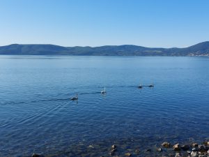 Fauna al Lago di Bracciano